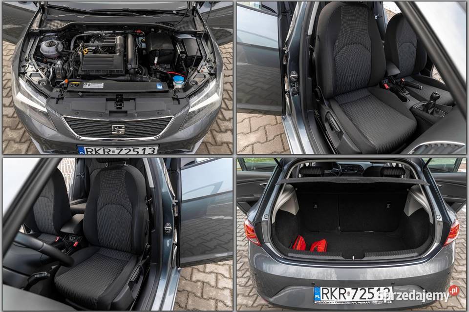 SEAN LEON manualna Zalesie