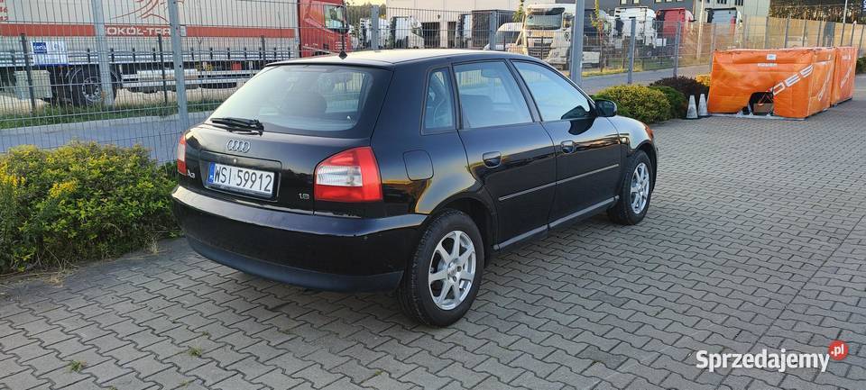 Audi A3 8L 16 Benzyna 2001 r Polift Zadbane do manualna A3 mazowieckie