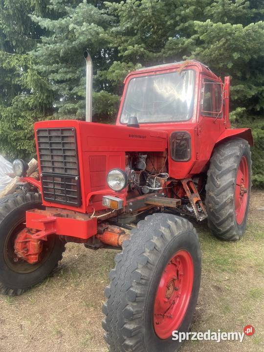 Ciągnik MTZ 82 Czerniejewo sprzedam