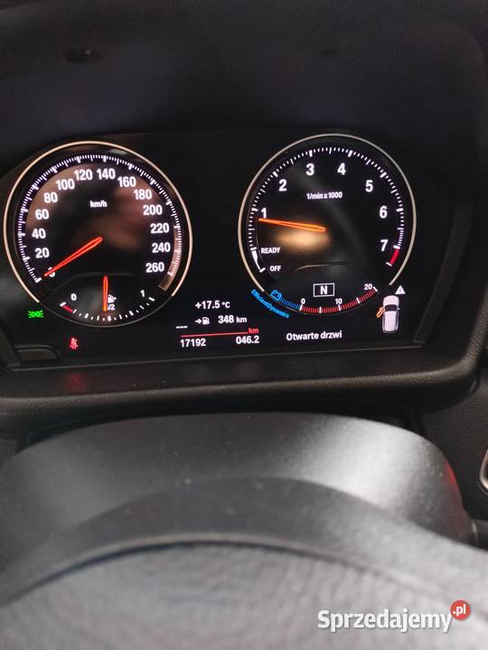 BMW X1 F48 sDrive 2019 r 1499cm3