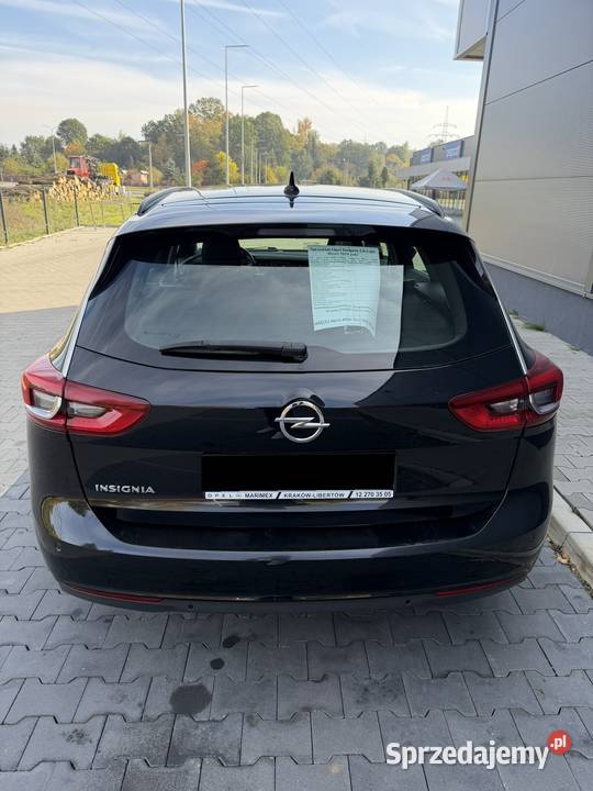 Opel Insignia 2019 20 Cdti 80150 Navi Martwe Insignia Skawina