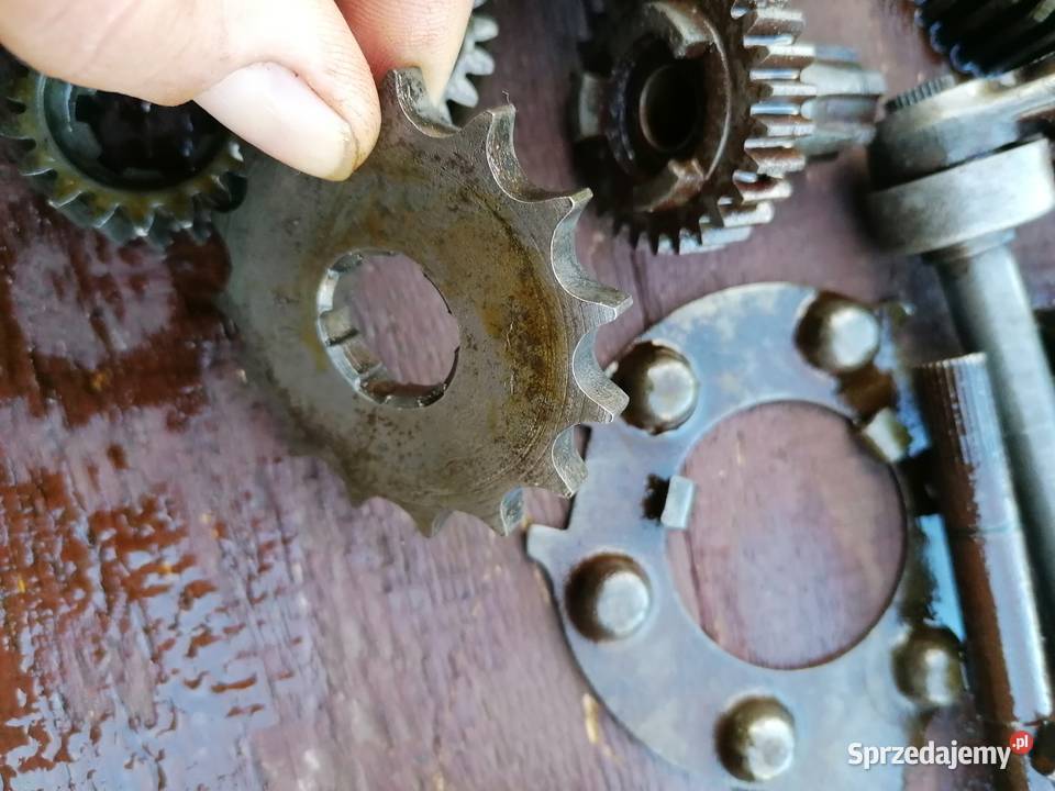Wsk 175 zębatka zdawcza shl wfm 15 zębów lubelskie Kock