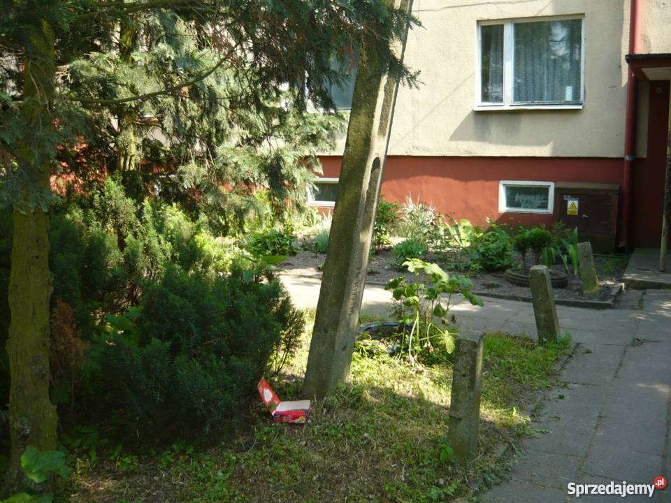 Mieszkanie na wsi Radom