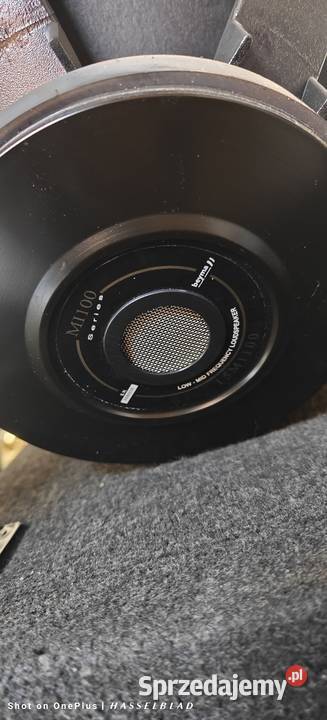 Mocne kolumny beyma 2x15 driver 2 4vc Lisków sprzedam