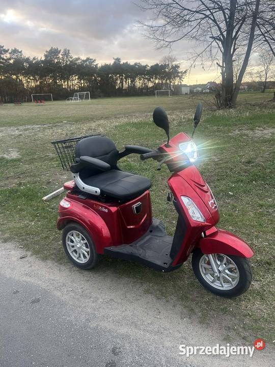 Skuter inwalidzki elektroniczny Sulęcinek