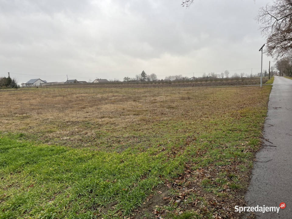 Dziełka z WZ budowlana w Babinie gm Przyłęk mazowieckie Babin sprzedam