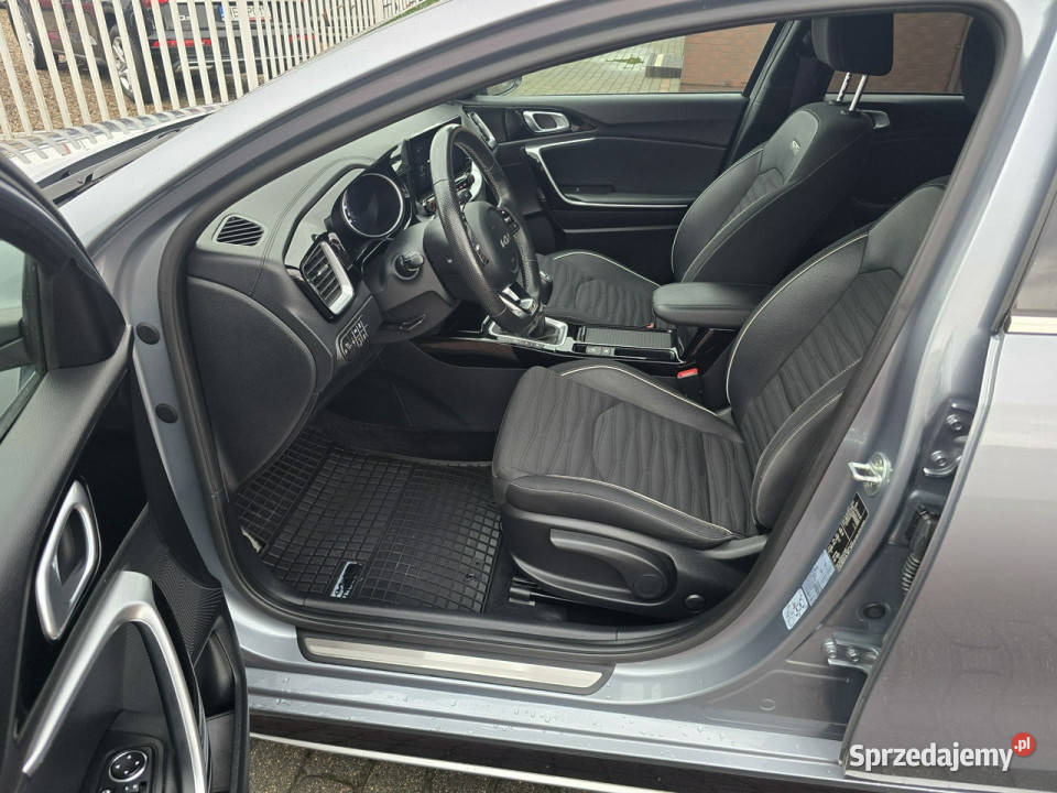 Kia Pro Ceed GT Line 15 TGDi 160 Salon Polska Zarejestrowany w Polsce Kia Włocławek