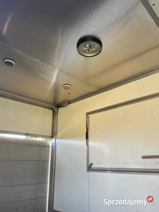 VW T4 nieuszkodzony Volkswagen Lubycza Królewska