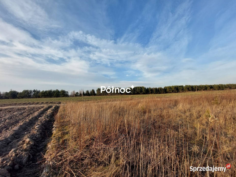 Urokliwa działka w ŁuckaKolonia na sprzedaż lubelskie Łucka-Kolonia