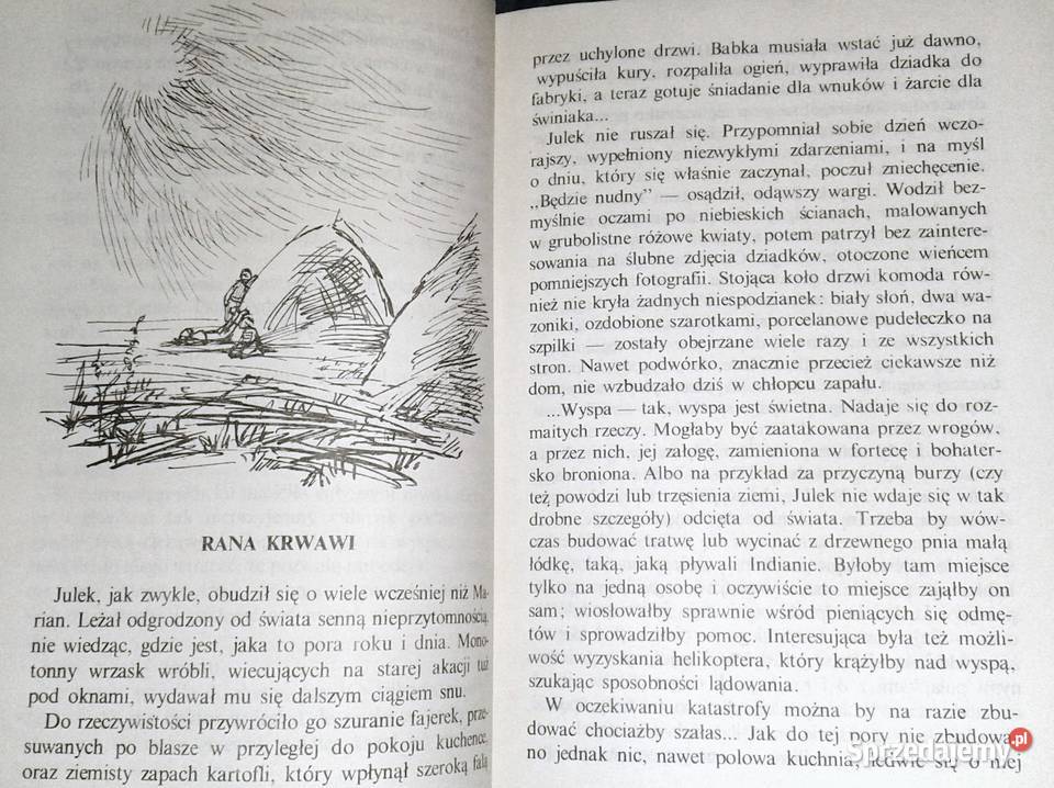 Ten obcy Irena Jurgielewiczowa Chełm