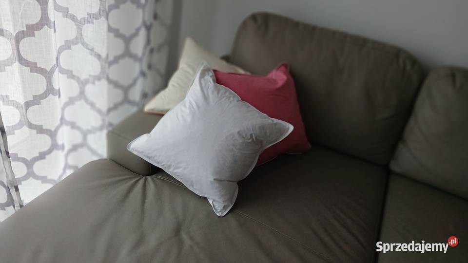 Jasiek 40x40 300gr 100 naturalne pierze gęsie Poznań