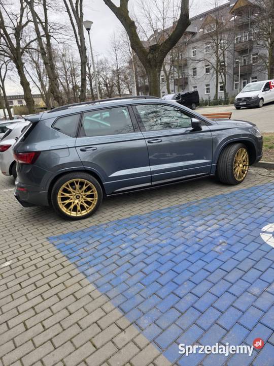 Cupra Ateca 20 300