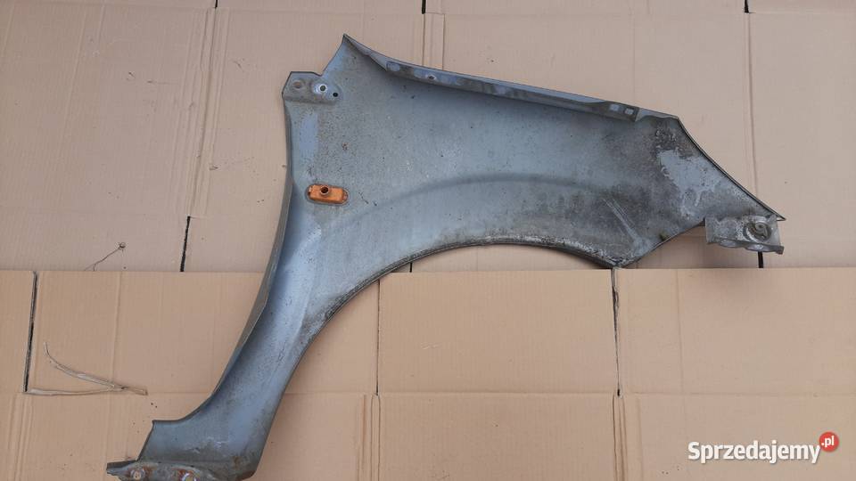 lak Q2 błotnik prawy lewy przód Ford Fiesta mk6 Błotniki Dębno