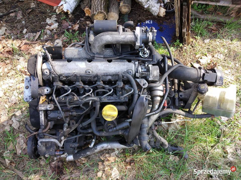 Silnik 19 dCi Renault Laguna II pęknięty pas Otwock