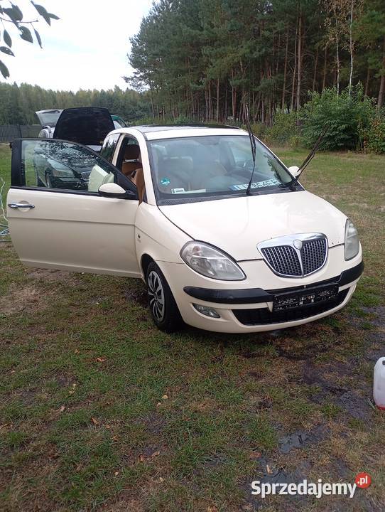 Lancia ypsilon 2005 14 16v saggio skóra uszkodzony sprzedam
