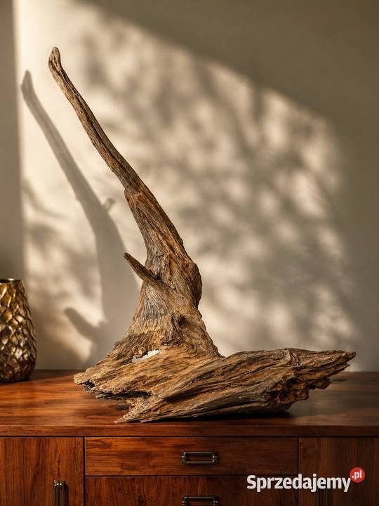 Drewno dryftowe driftwood 100 naturalny korzeń Pińczów