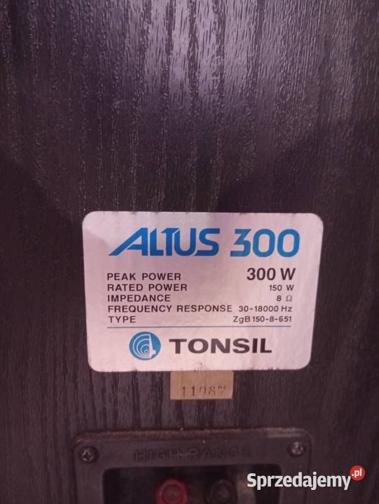 Kolumny Altus 300 amplituner Yamaha Gdańsk