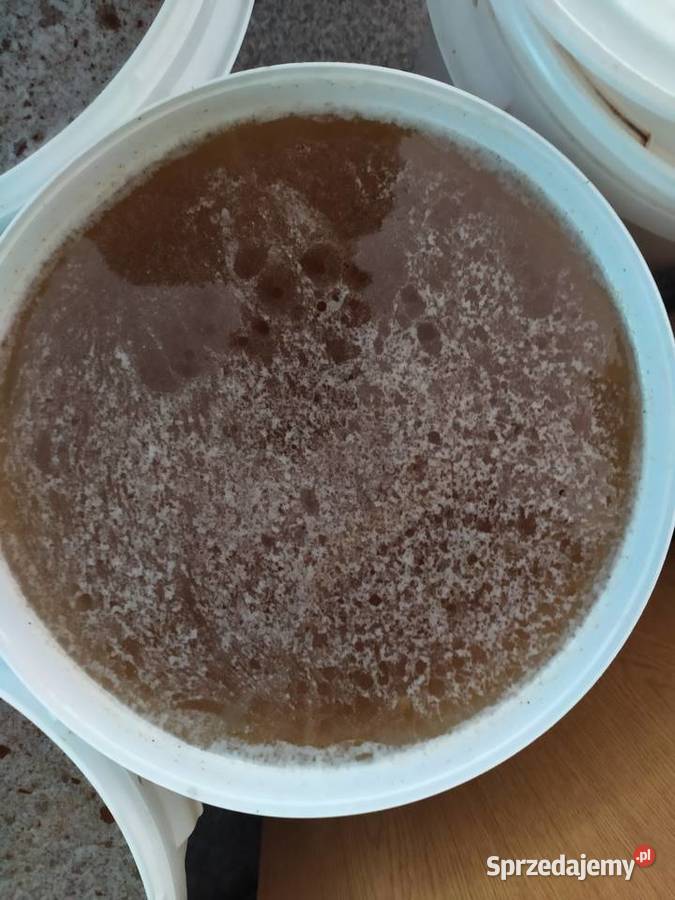 Sprzedam miód z własnej pasieki świętokrzyskie