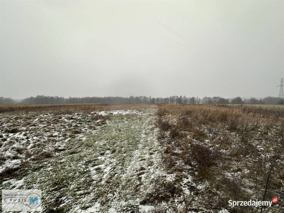 Działka Śladków Duży 43100m2