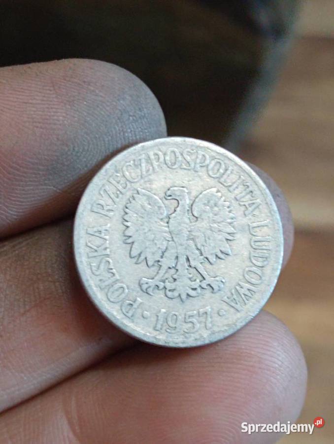 Sprzedam 50 groszy 1957 bez znaku menncicy lubelskie Chełm