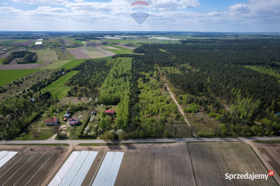 Działki z warunkami zabudowy w Nowej Wronie