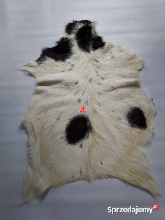 Skóry z Kóz Naturalne Skóry Dekoracyjne Skóra Szaflary