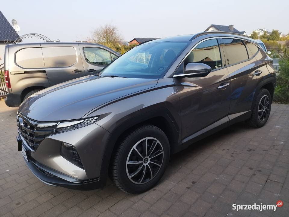 Hyundai Tucson Platinum mHev 2wd Silky Brown NA zachodniopomorskie Goleniów