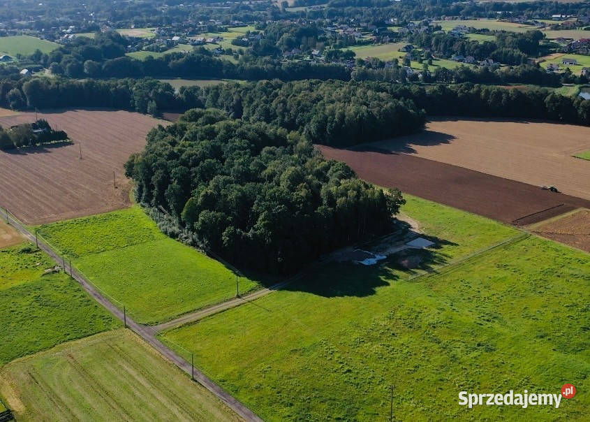 Widokowa działka budowlana w Pisarzowicach śląskie