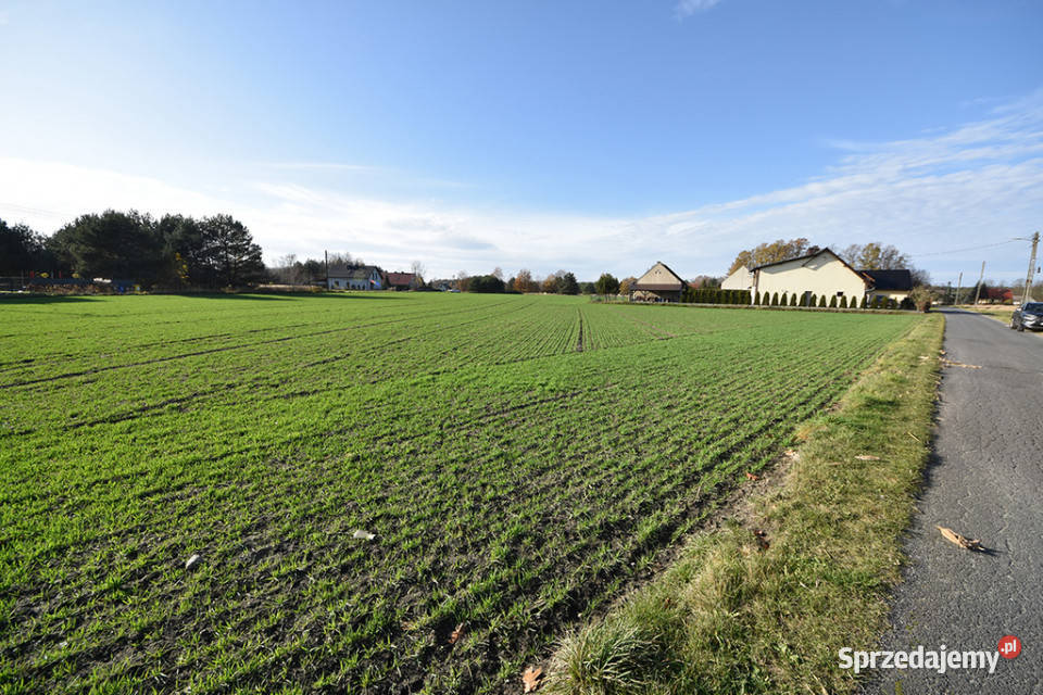 Duża działka budowlana 9051 m Turawa Marszałki asfalt Sprzedaż