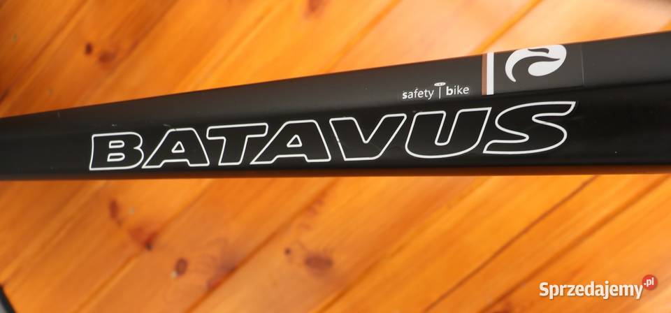 Rower męski Batavus Monaco H 57 Milanówek