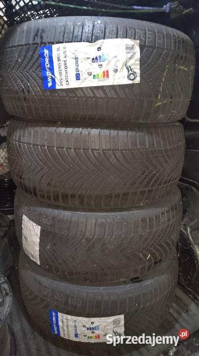 Nowe 2454019 4 Wielosezonowe sprzedam