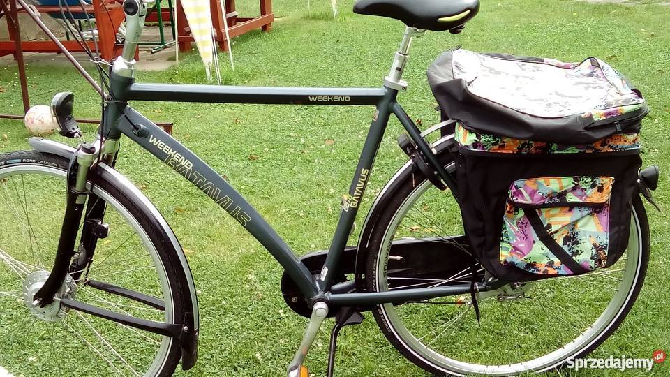 Rower Batavus Weekend Truskolasy