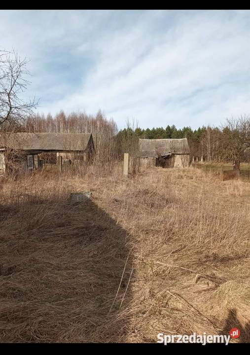 Sprzedam siedlisko Igryły