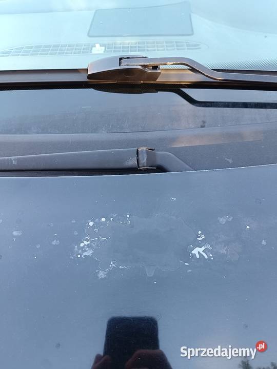 Audi a3 8l Przeworsk