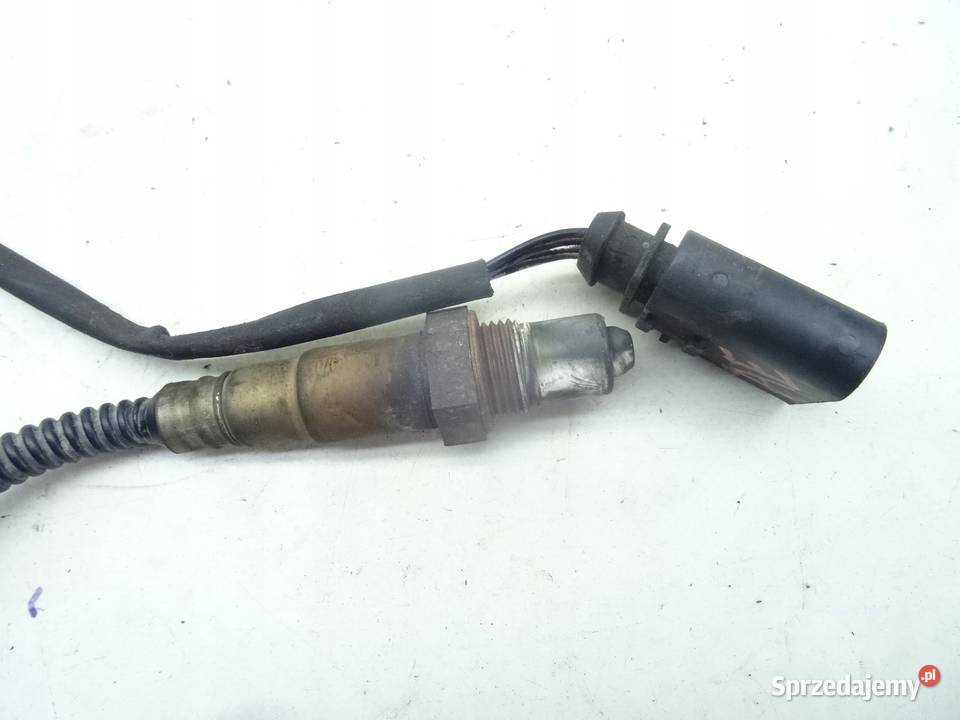 077906265AE AUDI A8 D3 0307 SONDA LAMBDA wielkopolskie