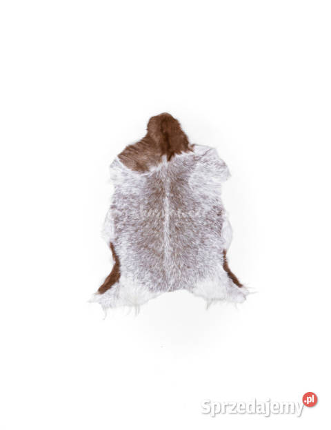 Skóra z kozykozia skóra dekoracyjna 90110 Szaflary sprzedam