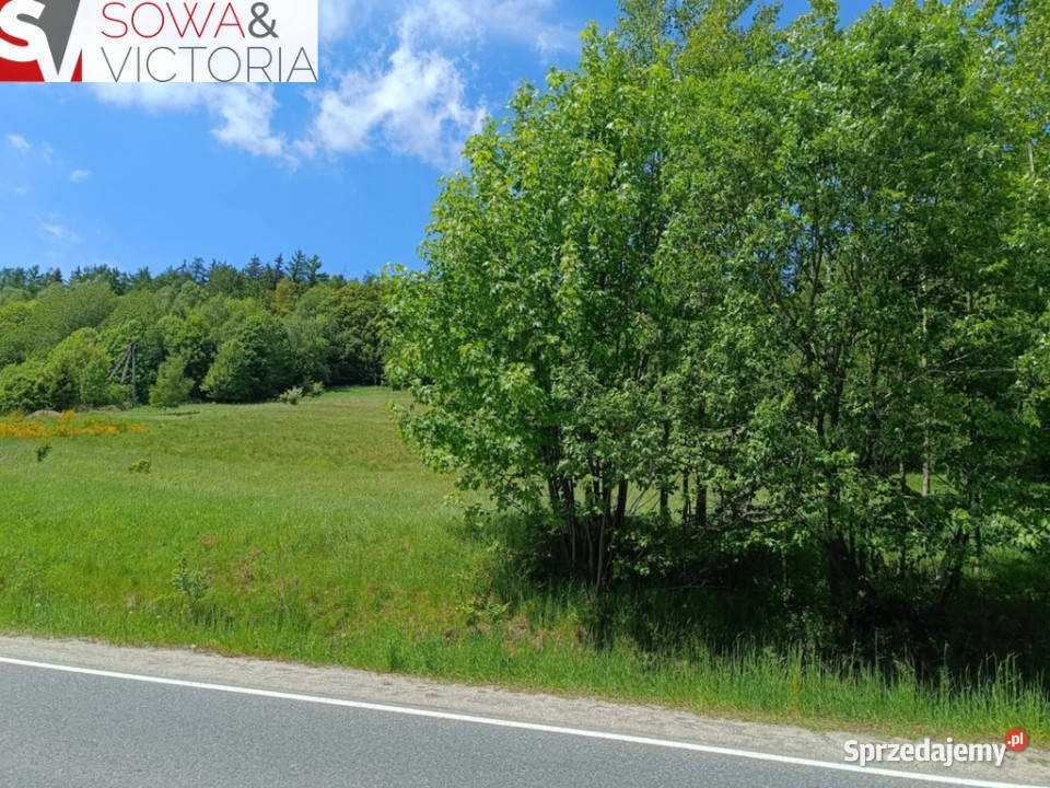 Działka budowlana 3 Wałbrzycha Promocja Jedlina-Zdrój