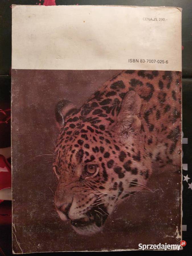 Tony Halik Z kamerą i strzelbą Mato Grosso Gdańsk sprzedam