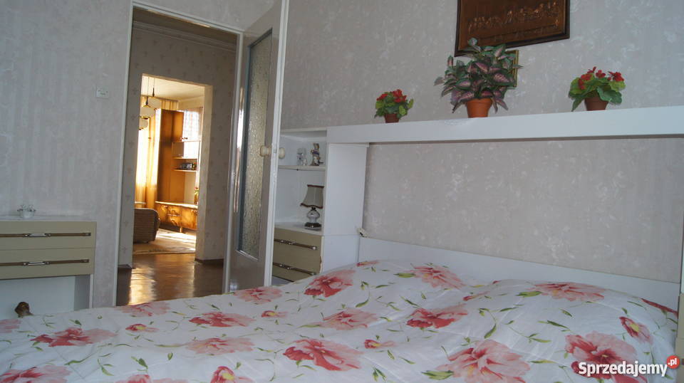 Mieszkanie M3 Bytom Miechowice 48m papa Mieszkania