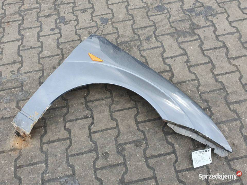 BŁOTNIK PRAWY PRZÓD FORD FOCUS MK1 MAGNUM GREY Pozostałe kujawsko-pomorskie Lipno