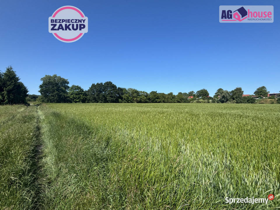 Działkę sprzedam Gdańsk 7245m2 Sprzedaż sprzedam