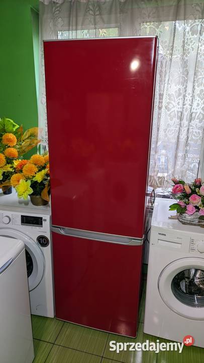 Lodówka lodówkozamrażarka pojemność 300 185cm Dobrzyń nad Wisłą sprzedam