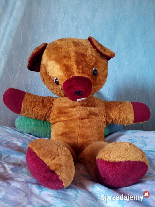 Miś leżący długość ok 60 Maskotki Mielno