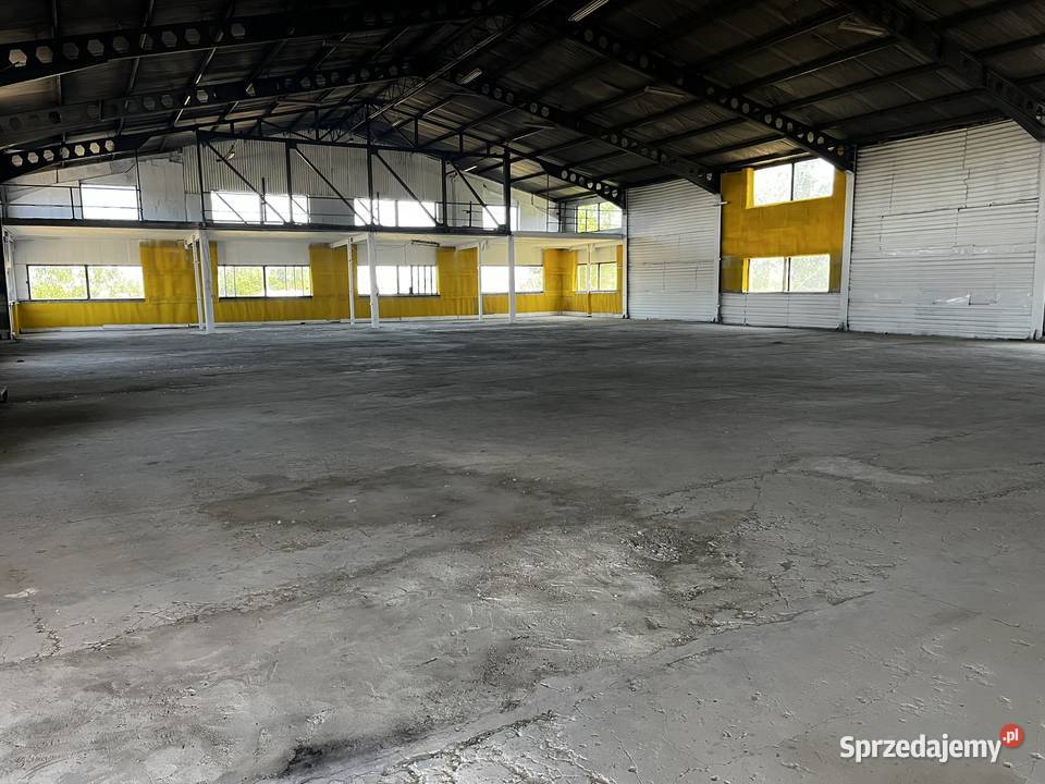 Na sprzedaż nowoczesna hala produkcyjnousługowa Borucin