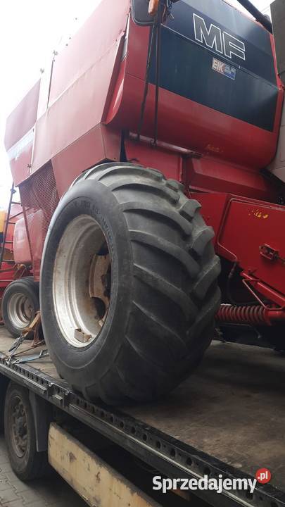 Kombajn Zbożowy Massey Ferguson 20 Stan Gotowy Massey Ferguson lubelskie Chełm