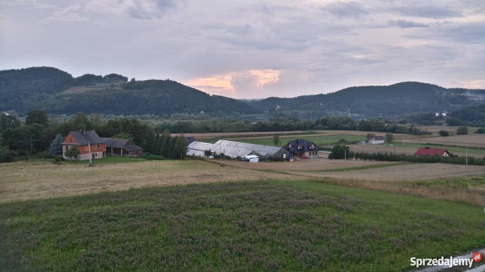 Działka budowlana 2800m2 Witowice Dolne sprzedam