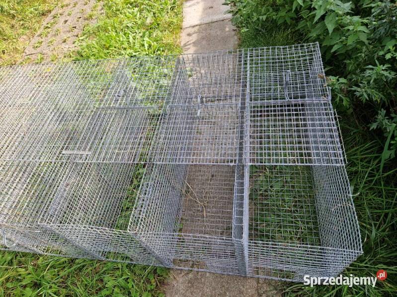 Klatka królika Sławno