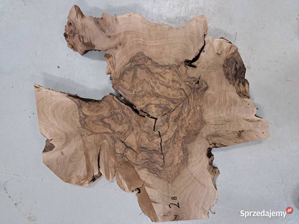 Plastry Orzech Korzeń suche