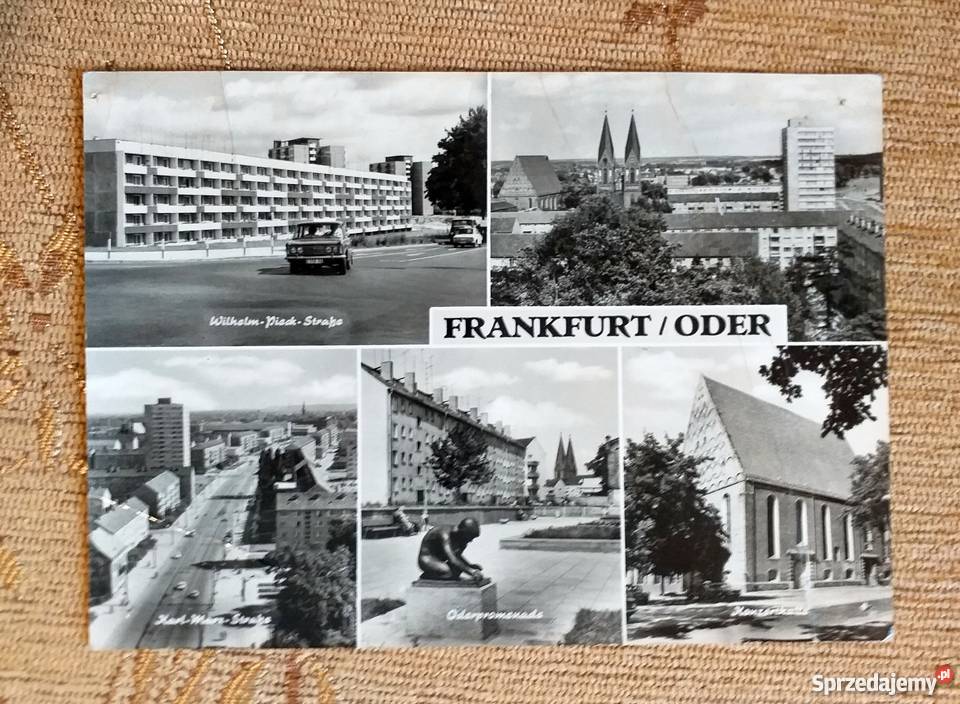 FRANKFURT ODRĄ W BRANDENBURGII Piszczac sprzedam
