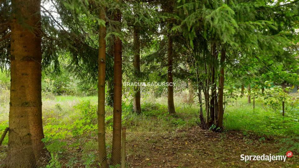 Grunt Lusina 450m2 sprzedam